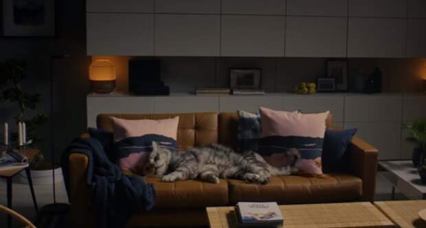 IKEA в новом ролике доказывает, что на ее мебели хочется свернуться, как кошка