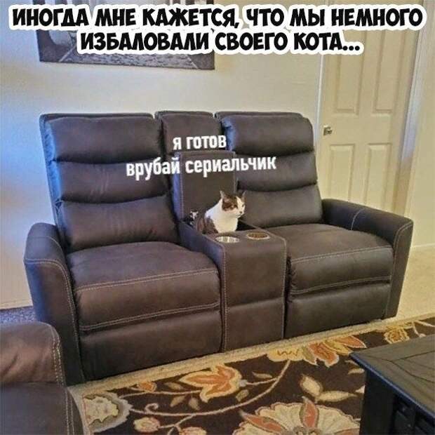 Позитивные приколы