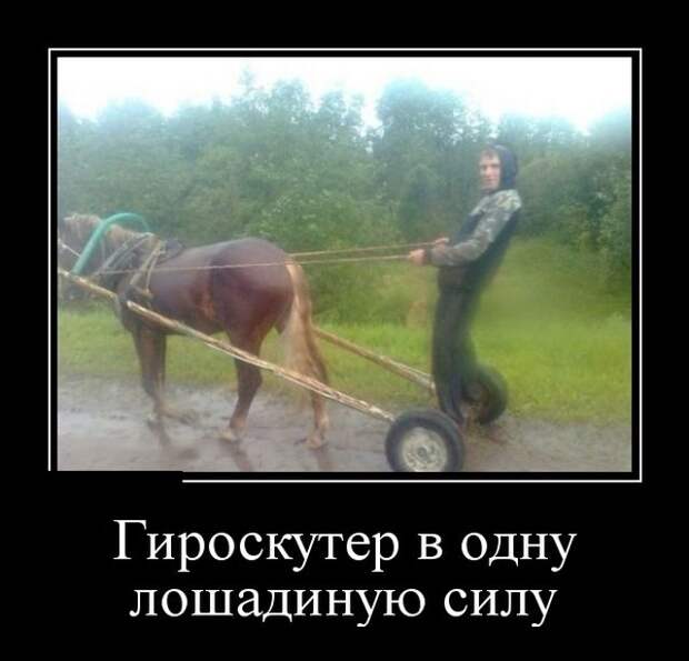 Демотиваторы