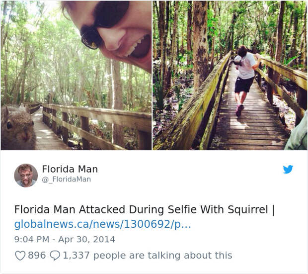 Florida-Man-Headings
