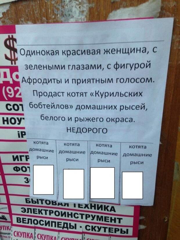 Дельные советы для одиночек Дельные советы для одиночек