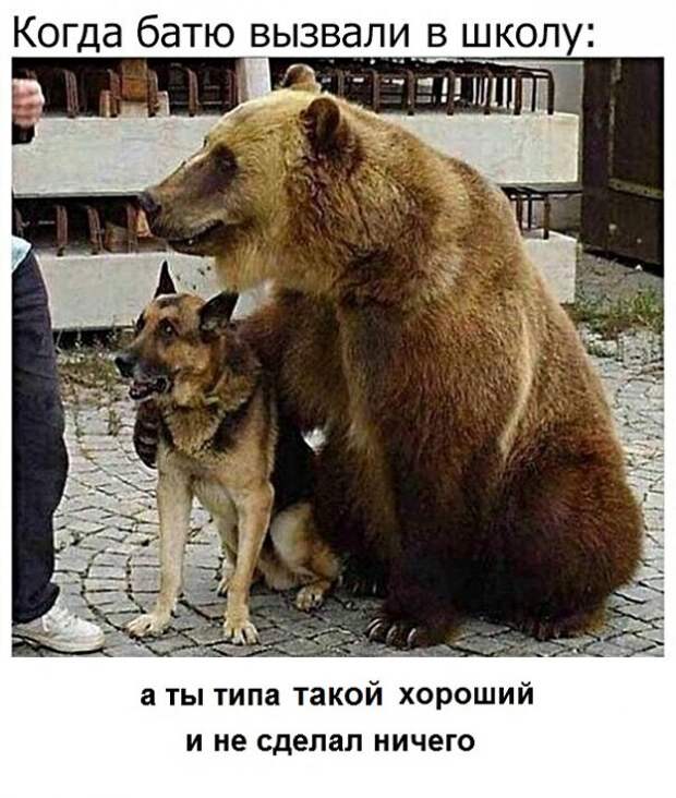 Анекдоты, истории и картинки с надписями