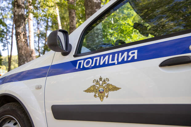 В Чернском районе волонтеры помогли полицейским в поисках пропавшей пенсионерки