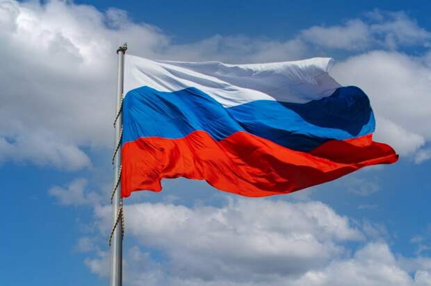 Иностранные наблюдатели высоко оценили организацию референдумов в Москве