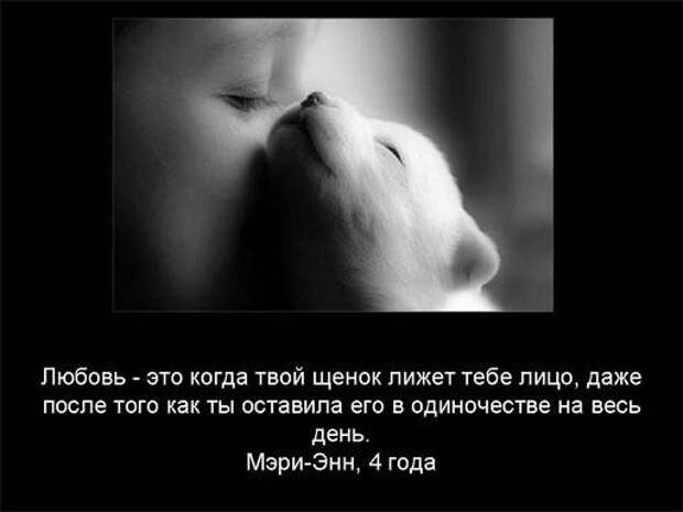 Любовь,глазами детей Любовь,глазами детей