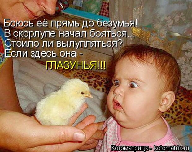 kotomatritsa_Ft (500x397, 229Kb)