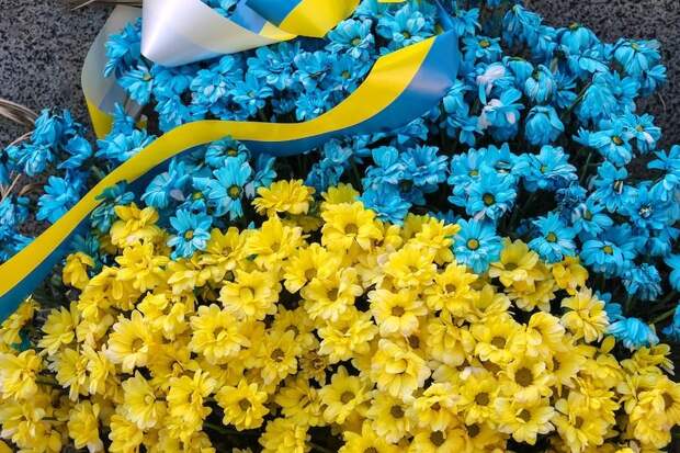 Генпрокурор Украины пошел на союз с американской элитой Генпрокурор Украины пошел на союз с американской элитой