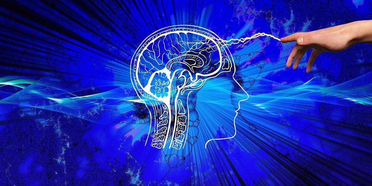 Обнаружена новая потенциальная стратегия лечения инсульта