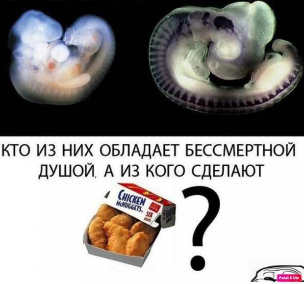 Мемы и истории про &quot;яжматерей&quot; и их детей
