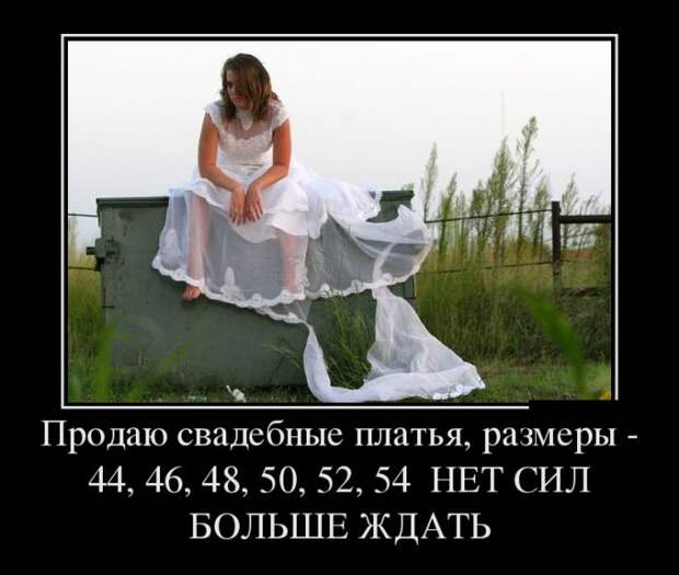 Демотиваторы (30 фото)