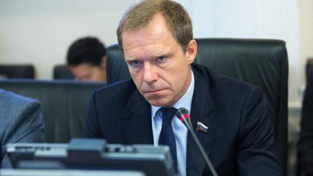 Автором инициативы выступил Андрей Кутепов