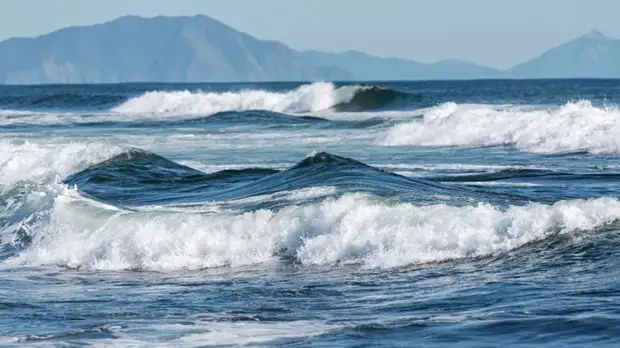 Росприроднадзор назвал размеры экологических штрафов «смехотворными»