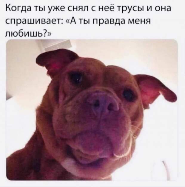 Мемы и приколы про &quot;это&quot;