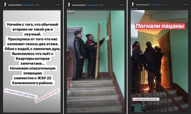 Запертые в питерской квартире коты устроили потоп СПб, животные, котики, потоп, россия, санкт-петербург