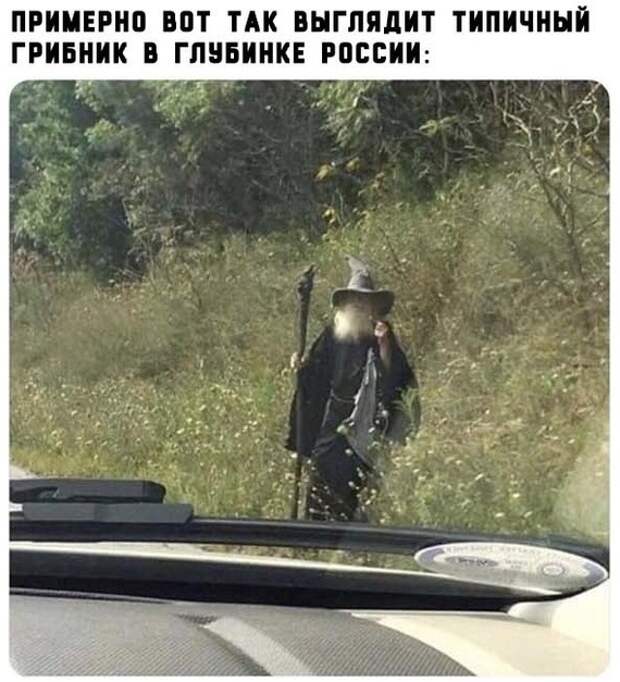 Грибник