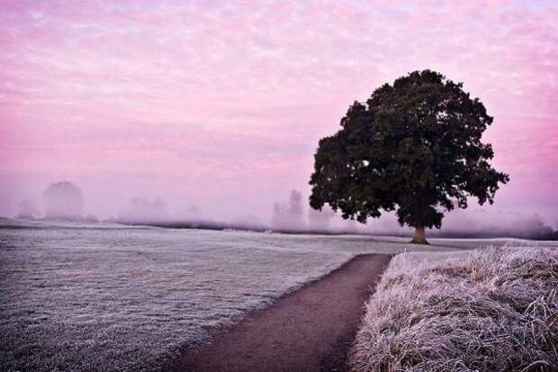 image23_601x401