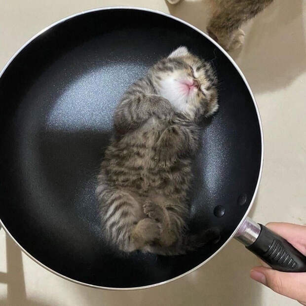 62033933_original (700x700, 383Kb)