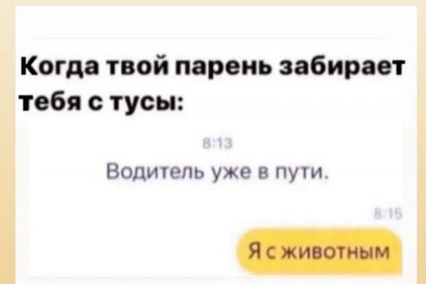 Лучшие шутки и мемы из Сети