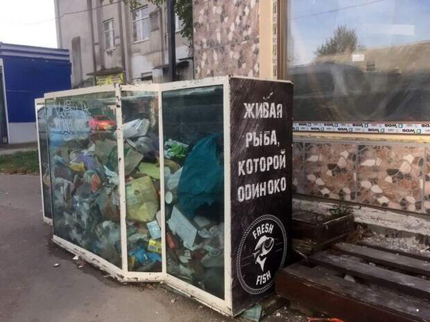 Фотоприколы прикол, хохма, юмор
