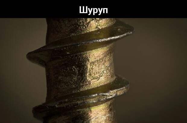 Предметы из повседневной жизни под большим увеличением. Предметы из повседневной жизни под большим увеличением.