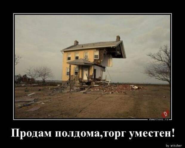 1575014870_demy-4.jpg