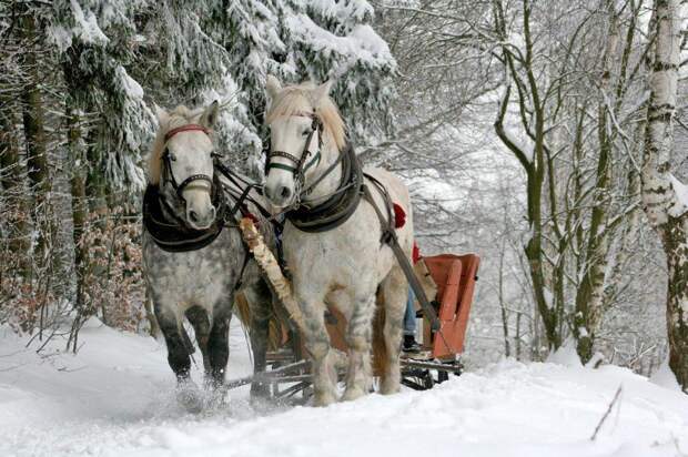 Фото: pixabay.com