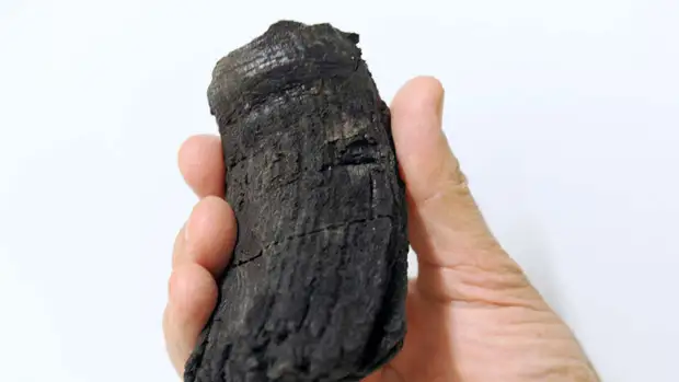 Найденный в Швейцарских Альпах зуб может принадлежать крупнейшему в истории существу