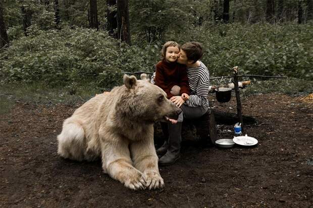 Like in a fairy tale. pictures of Russian family playing with a bear 06