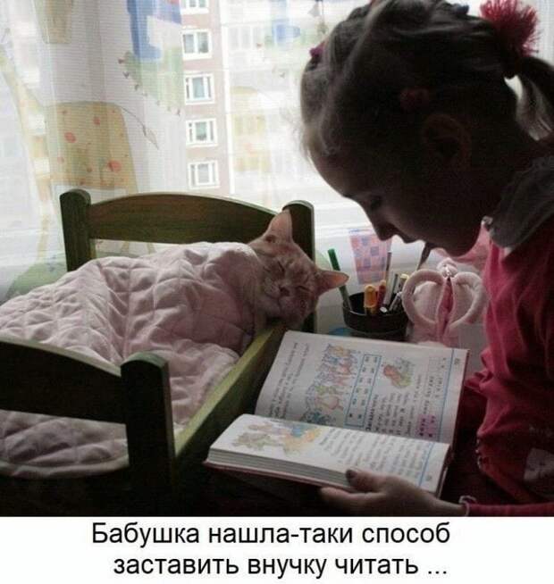 Возможно, это изображение (человек, ребенок, кот, в помещении и текст «бабушка нашла-таки способ заставить внучку читать...»)
