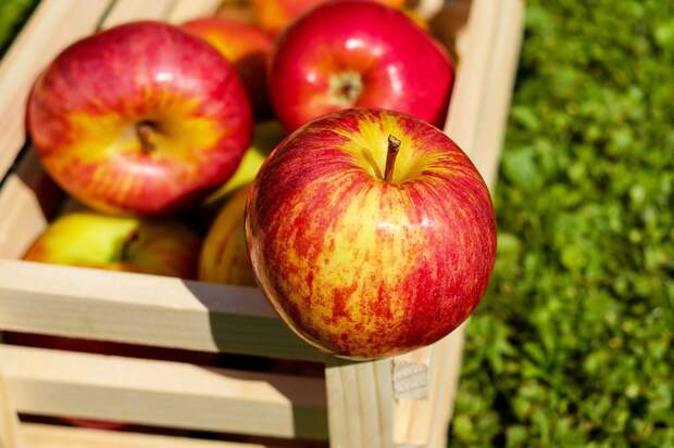Кардиологи из США перечислили три полезных фрукта для здоровья сердца