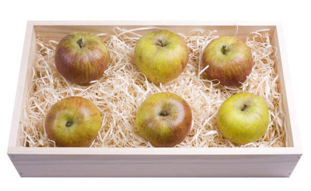 Удобно хранить яблоки, переслоив стружкой или опилками