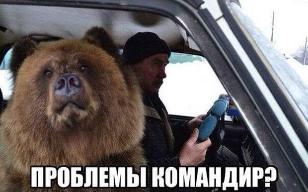 Паранормальных пикч