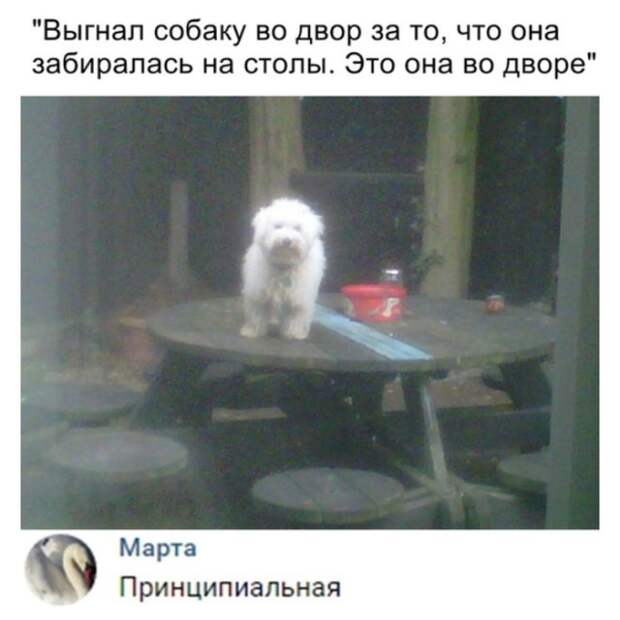 Прикольные картинки абавсём:D