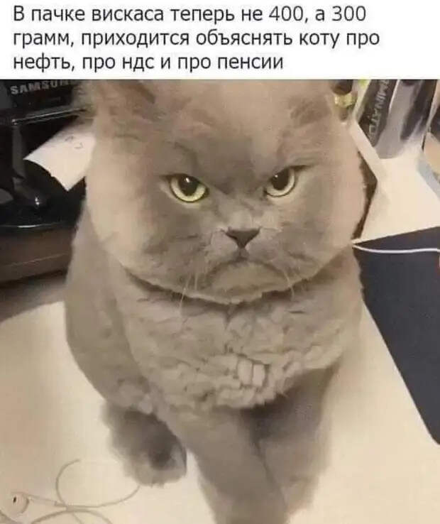 Если хочешь бутерброд - посмотри на свой живот