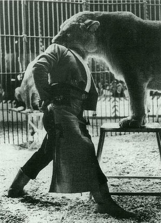 Укротитель испанского цирка, совершивший опасный трюк в в пасти льва на выступлении в Гамбурге, 1962 20 век, история, фотографии
