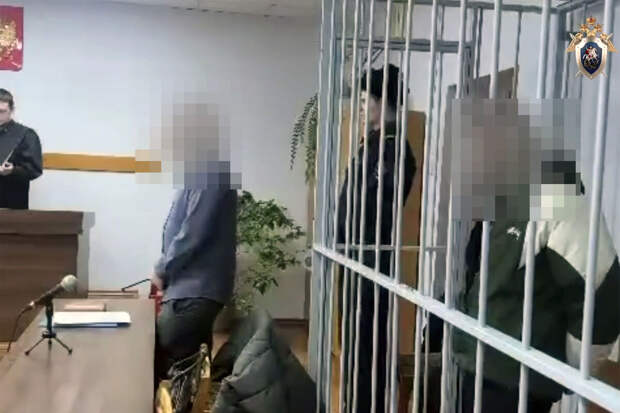 СК России: подростка из Онеги арестовали по делу о приготовлении к диверсии