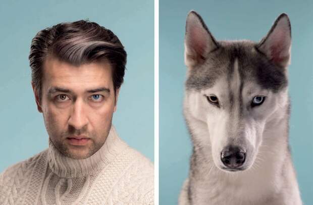Сергей и Спайк (Сибирский хаски) внешность, животные, похожи, собака, сходство, фото