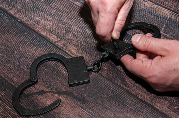 Экс-главу Минобороны Грузии задержали из-за штурма дворца президента