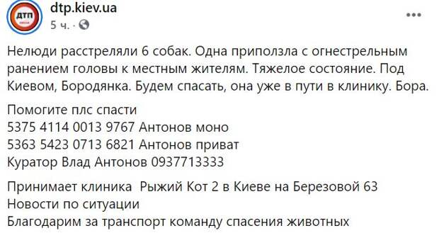 изображение_2021-04-03_232322.png