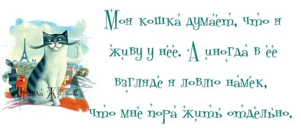 счастливые глаза женщины. влюбленные на рассвете. Intellect humor. девочка у реки. взгляд ловлю.