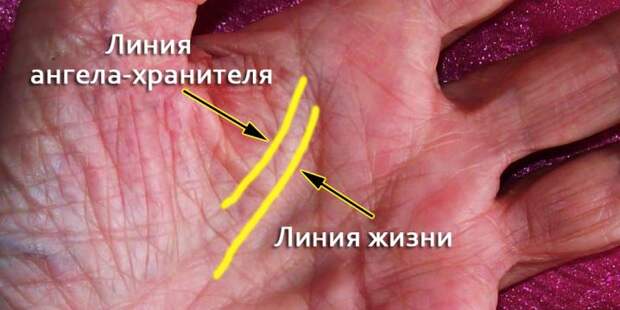 Очень мало людей имеют линию Ангела-хранителя на ладони...