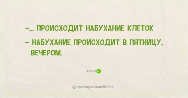 17.  преподаватель, шутки, юмор
