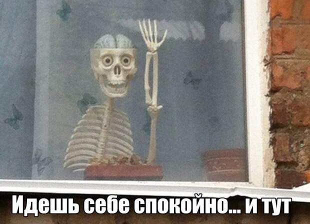 Фотоподборка четверга (111 фото)