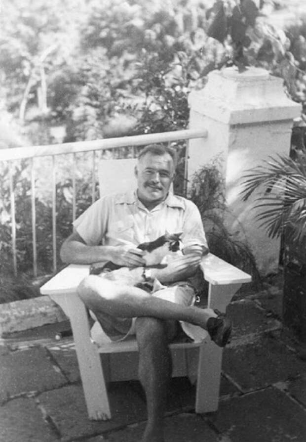 Эрнест Хемингуэй со своей любимой кошкой Бойсе на Финка Вихия. 
