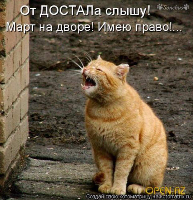 1269118975_km_13_23 (481x500, 240Kb)