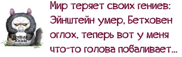 Смешные высказывания о работе в картинках