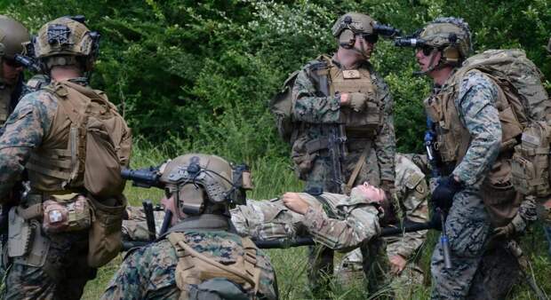 📰 США разрабатывают синтетическую кровь для тактической медицины