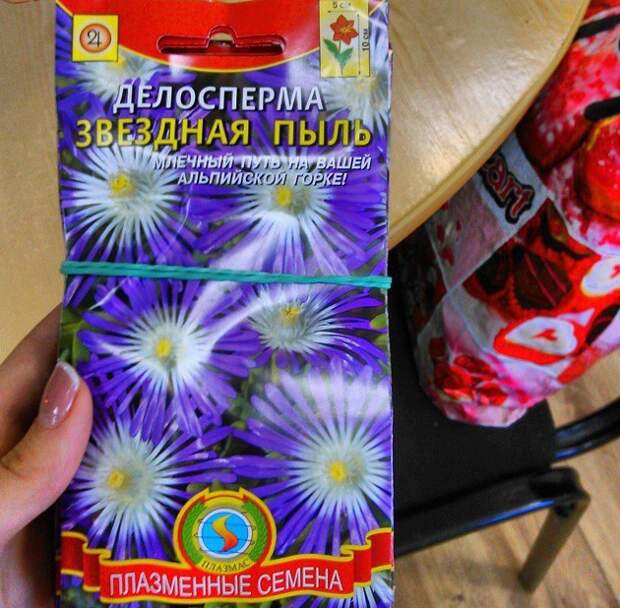Аграрии вывели кое-что новенькое) Аграрии вывели кое-что новенькое) жизненно, прикол, рассада
