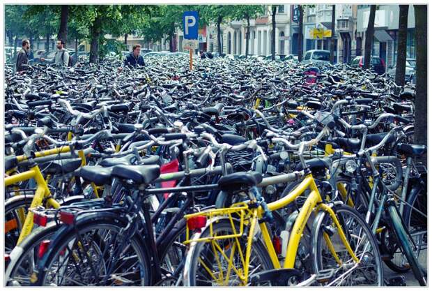 velosipedy-v-amsterdame