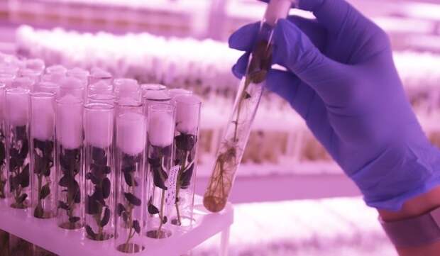 Возможные способы разрушения антибиотиков в Мировом океане выявили в МГУ